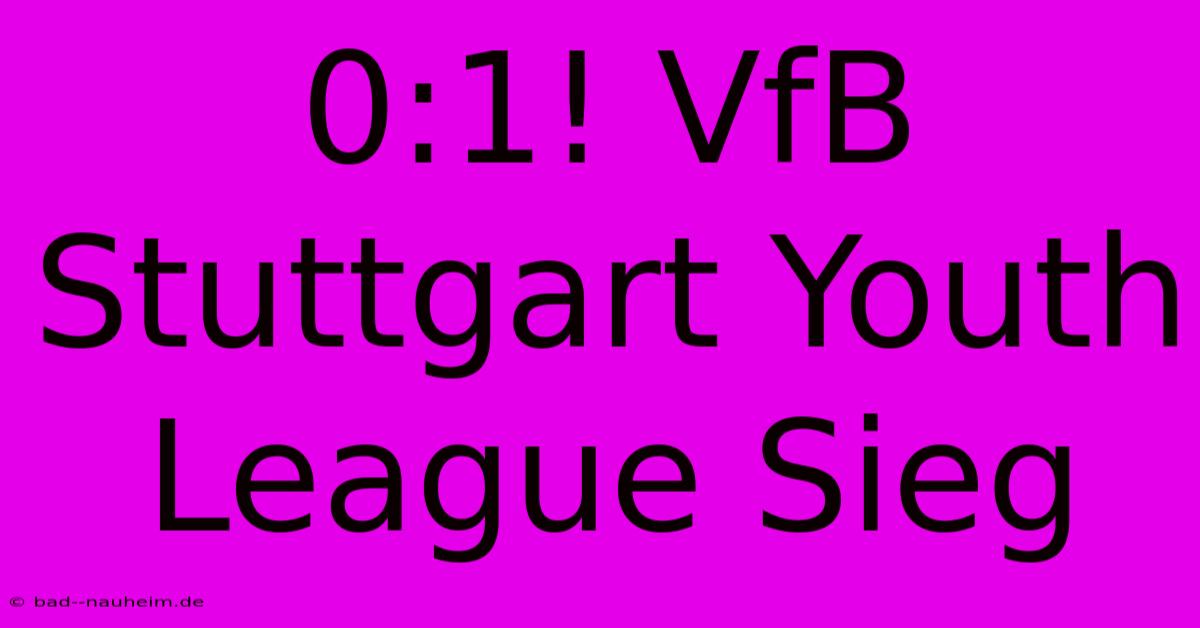 0:1! VfB Stuttgart Youth League Sieg