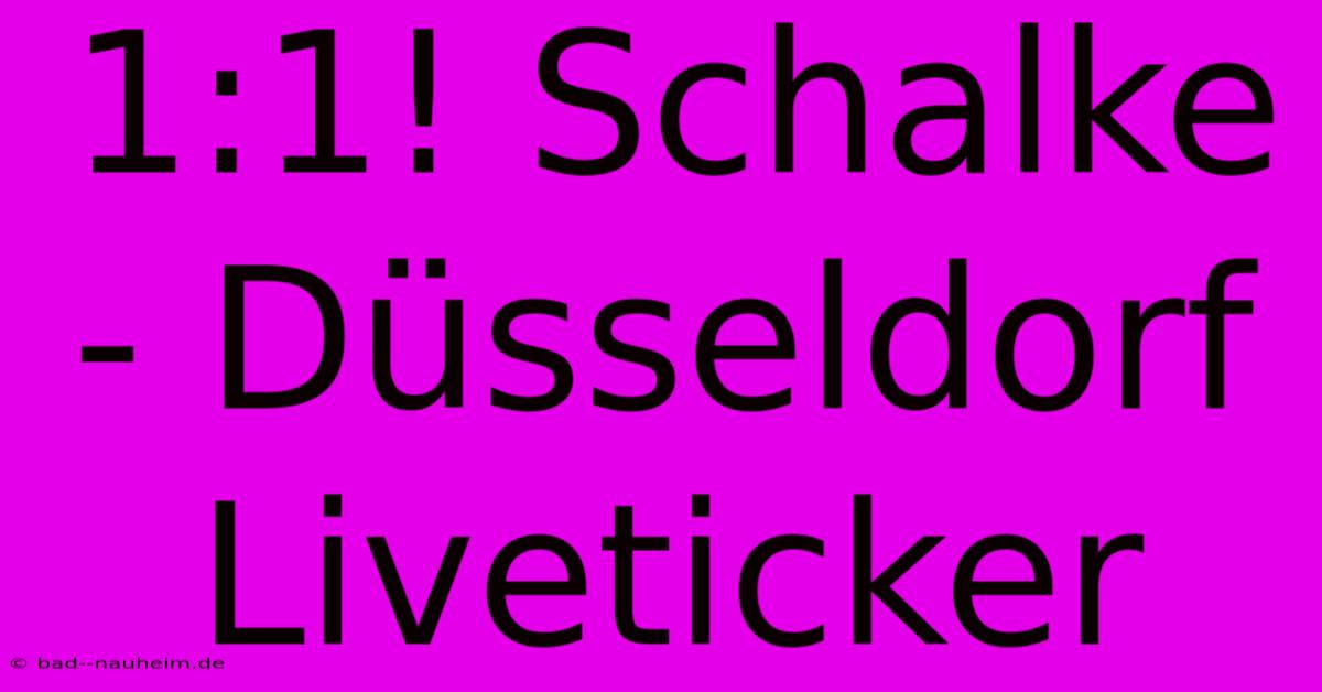 1:1! Schalke - Düsseldorf Liveticker