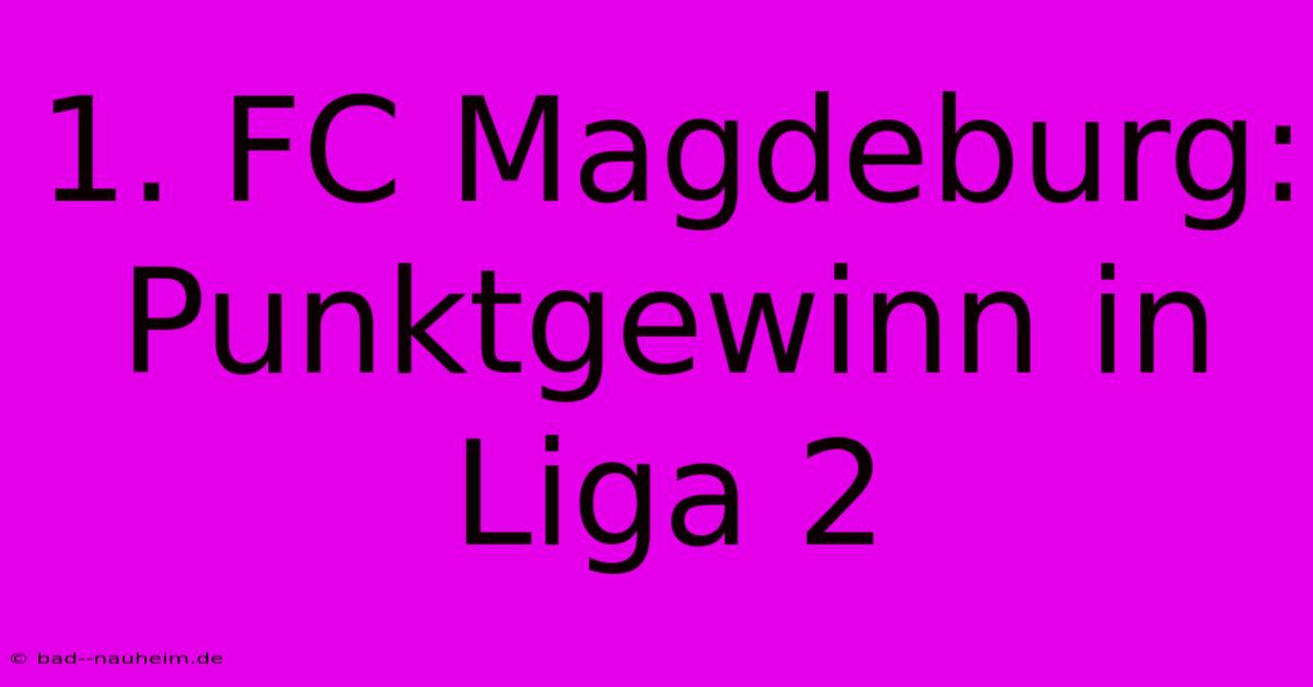 1. FC Magdeburg: Punktgewinn In Liga 2