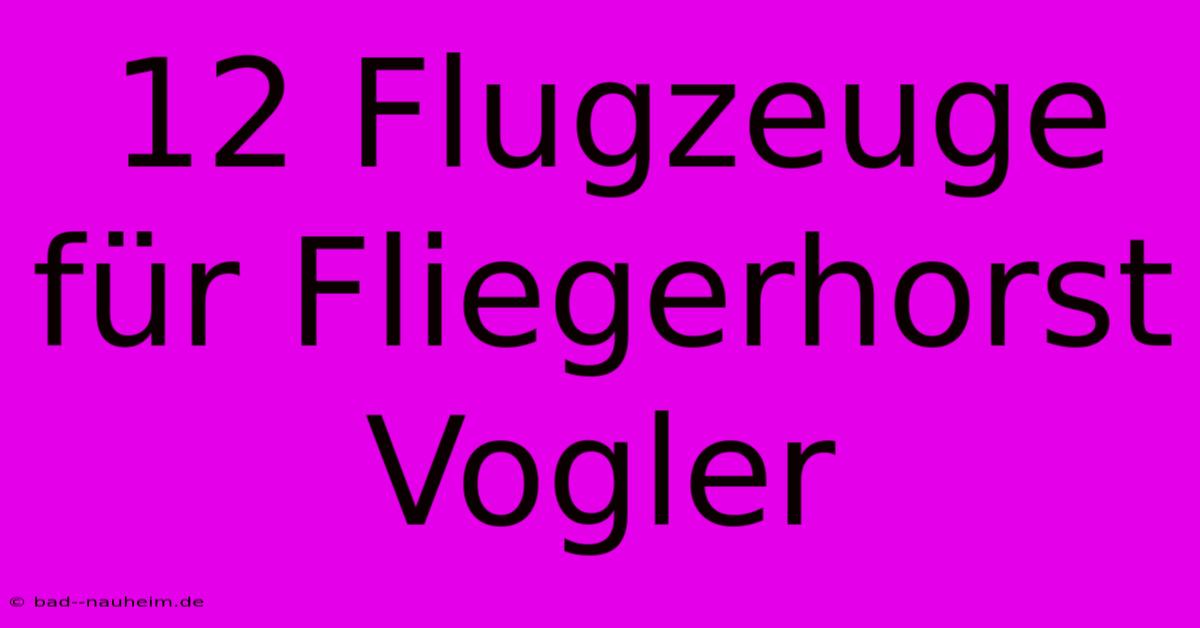 12 Flugzeuge Für Fliegerhorst Vogler