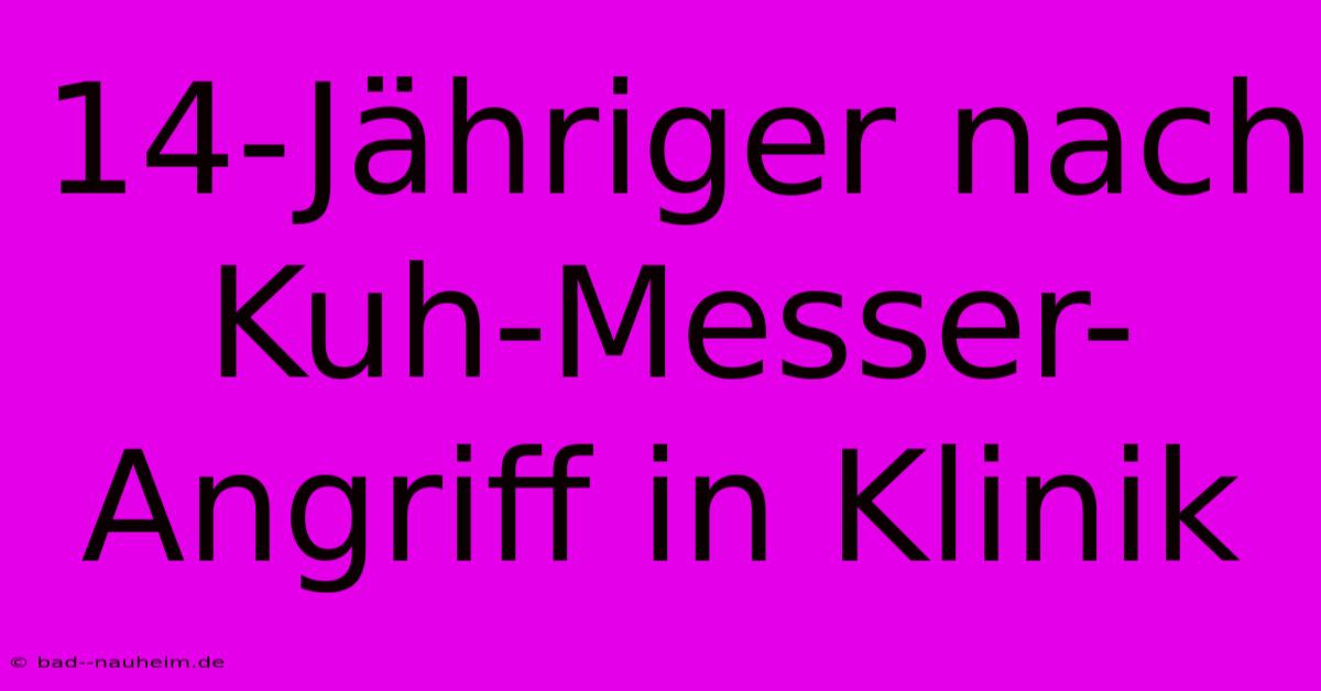 14-Jähriger Nach Kuh-Messer-Angriff In Klinik