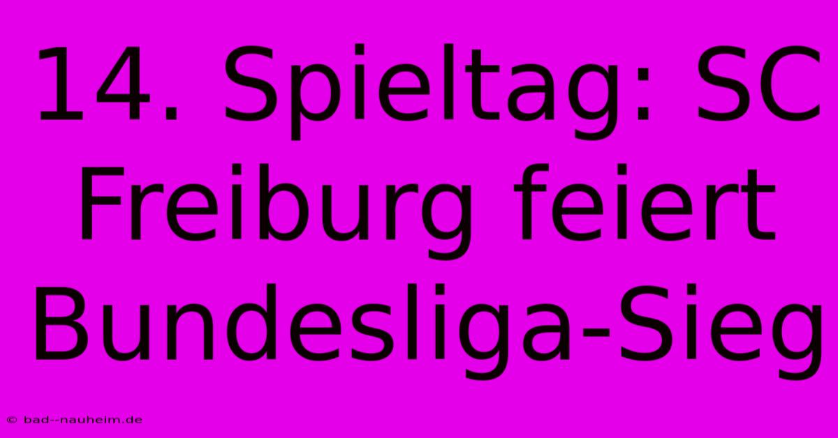 14. Spieltag: SC Freiburg Feiert Bundesliga-Sieg