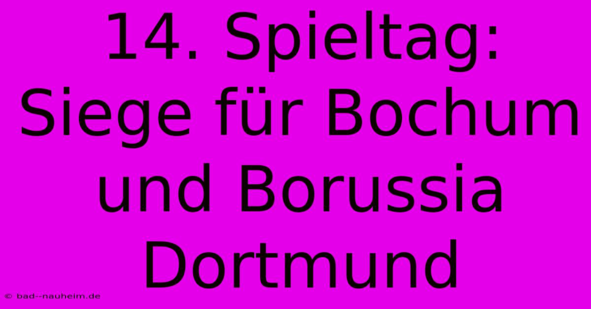 14. Spieltag: Siege Für Bochum Und Borussia Dortmund