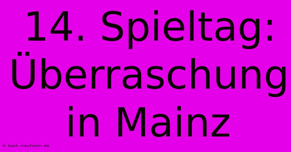 14. Spieltag: Überraschung In Mainz