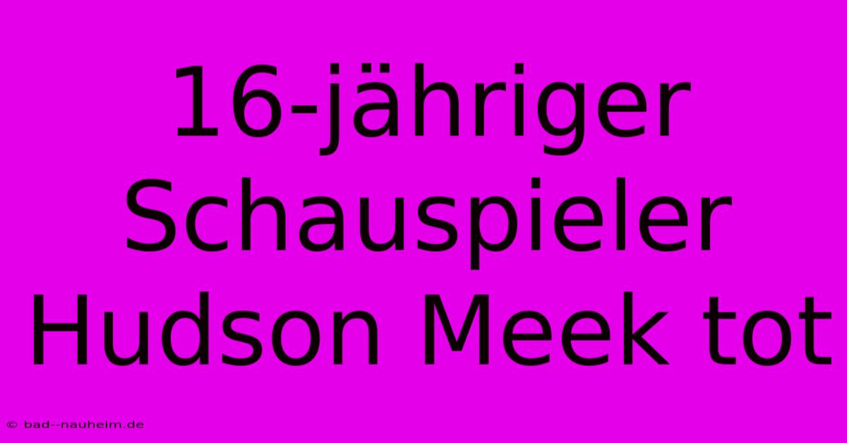 16-jähriger Schauspieler Hudson Meek Tot