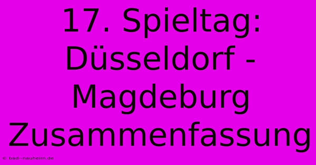 17. Spieltag: Düsseldorf - Magdeburg Zusammenfassung