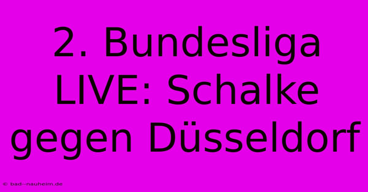 2. Bundesliga LIVE: Schalke Gegen Düsseldorf