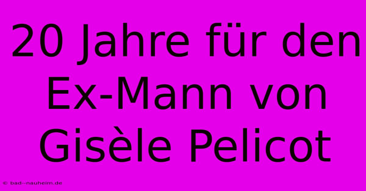 20 Jahre Für Den Ex-Mann Von Gisèle Pelicot