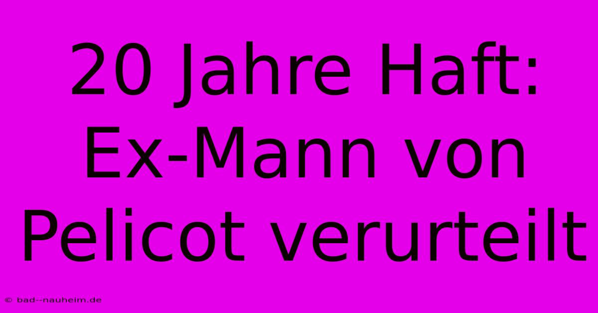 20 Jahre Haft: Ex-Mann Von Pelicot Verurteilt