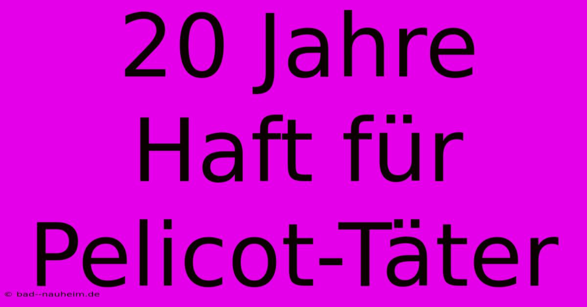 20 Jahre Haft Für Pelicot-Täter