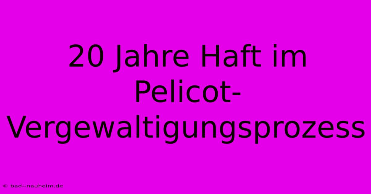 20 Jahre Haft Im Pelicot-Vergewaltigungsprozess