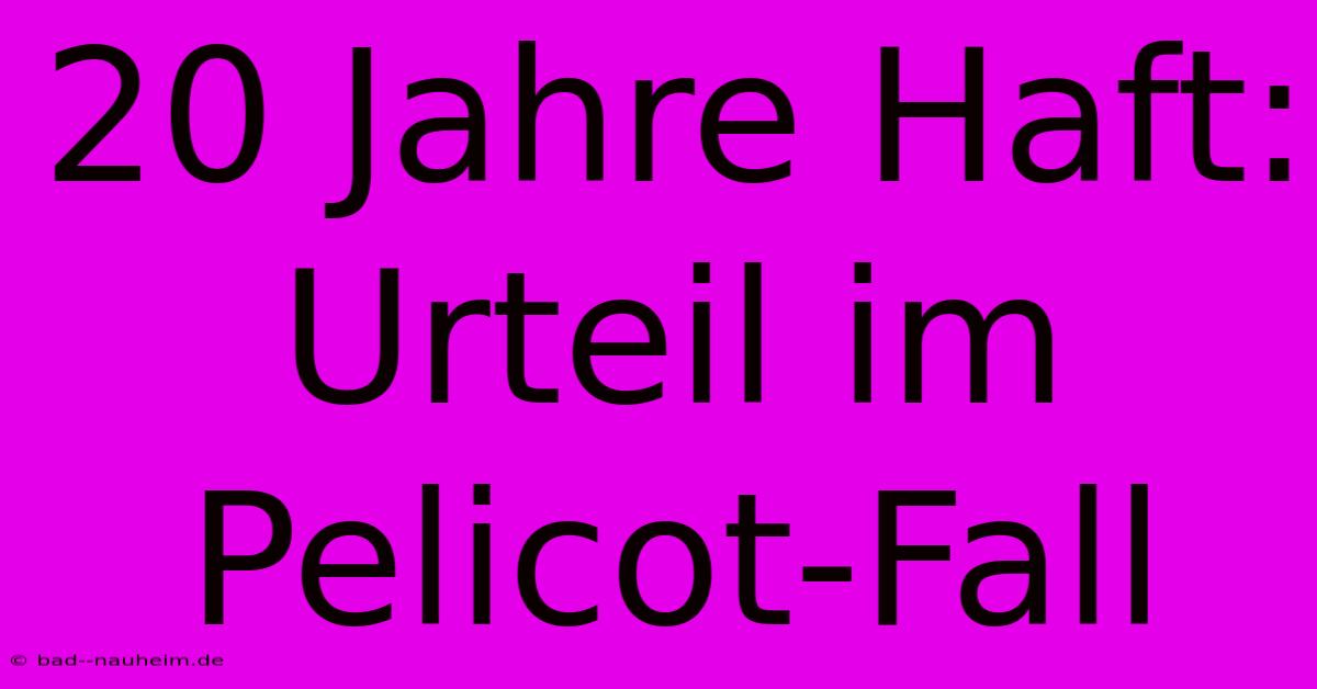 20 Jahre Haft: Urteil Im Pelicot-Fall