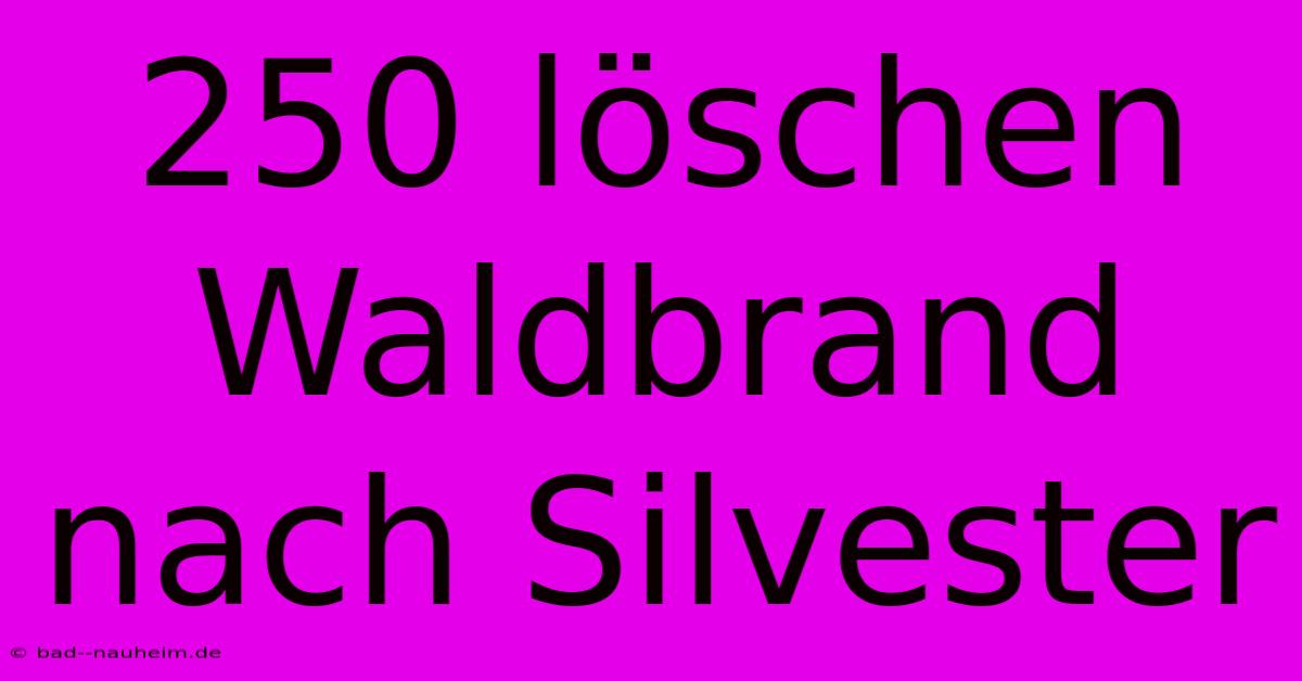 250 Löschen Waldbrand Nach Silvester