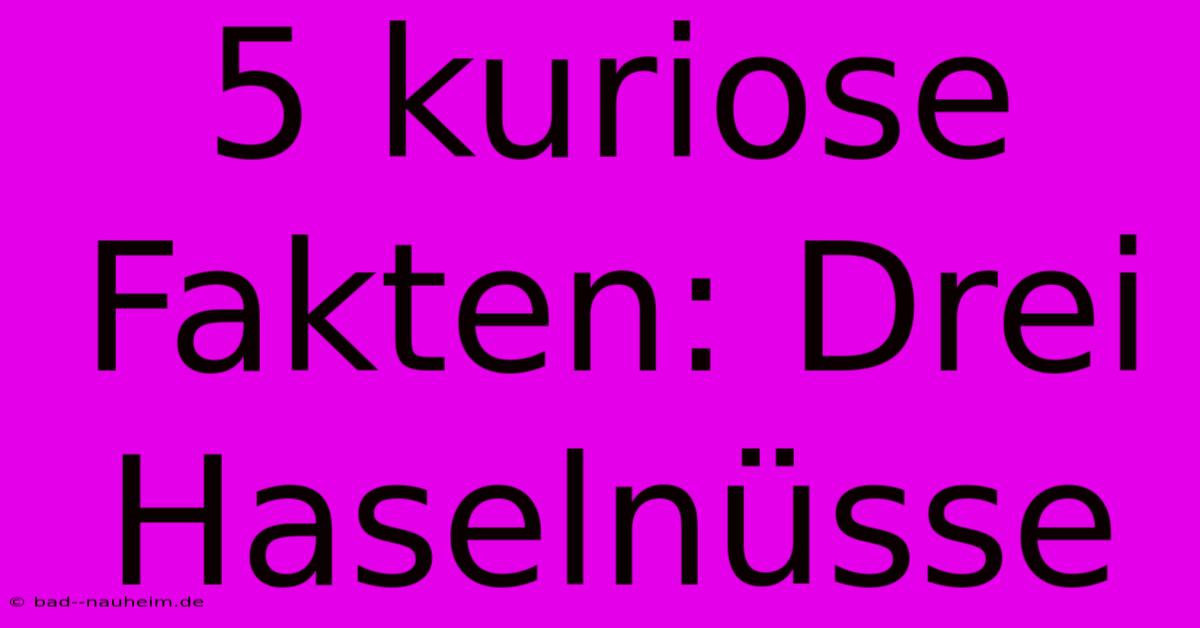 5 Kuriose Fakten: Drei Haselnüsse