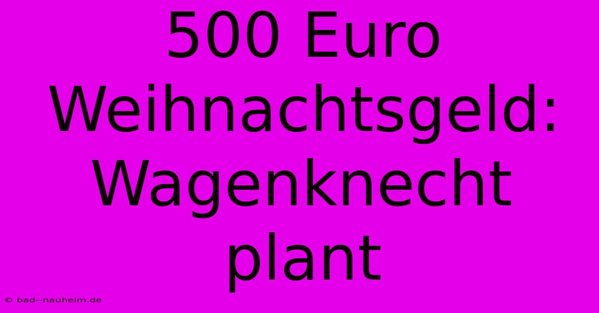 500 Euro Weihnachtsgeld: Wagenknecht Plant