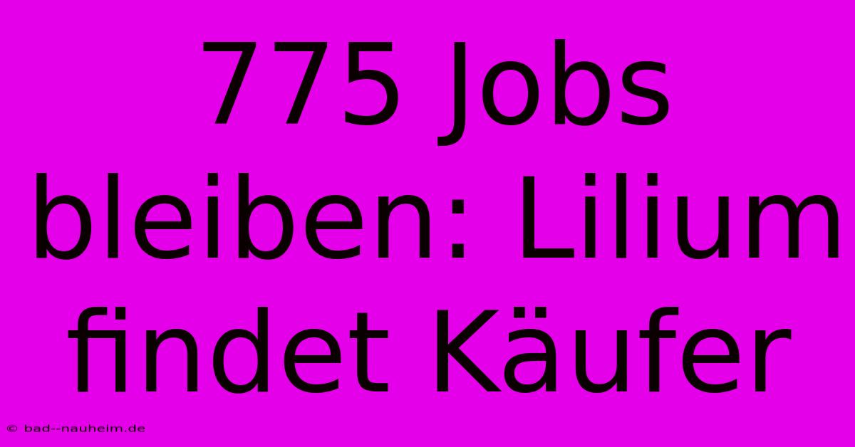 775 Jobs Bleiben: Lilium Findet Käufer