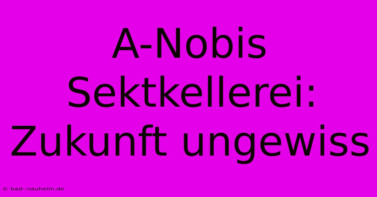 A-Nobis Sektkellerei: Zukunft Ungewiss