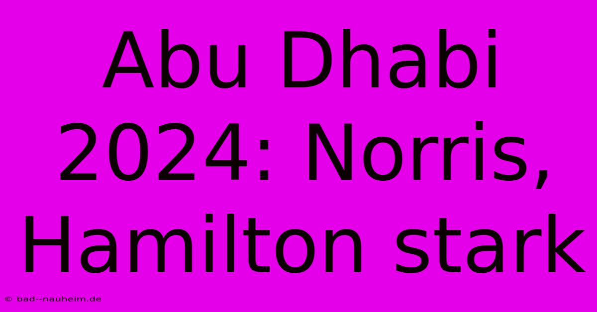 Abu Dhabi 2024: Norris, Hamilton Stark