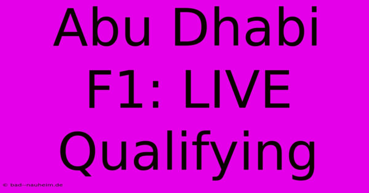 Abu Dhabi F1: LIVE Qualifying