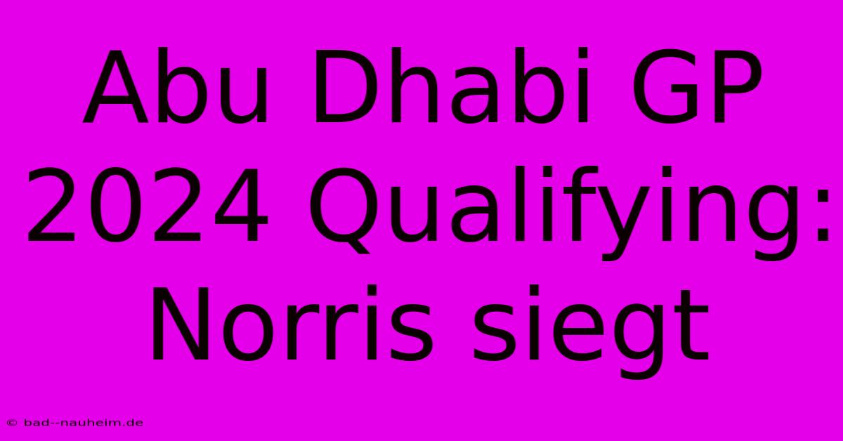 Abu Dhabi GP 2024 Qualifying: Norris Siegt