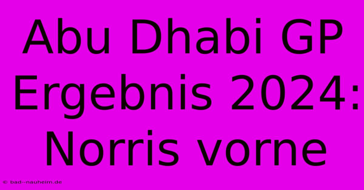 Abu Dhabi GP Ergebnis 2024: Norris Vorne