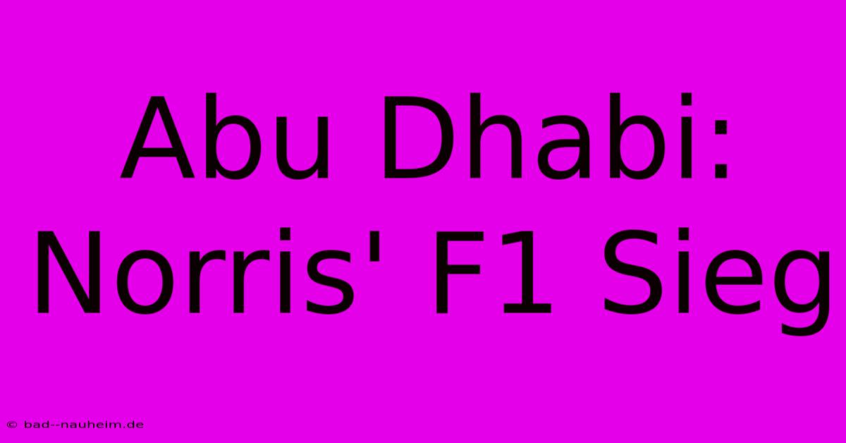 Abu Dhabi: Norris' F1 Sieg