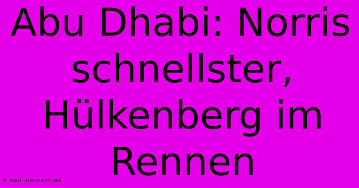 Abu Dhabi: Norris Schnellster, Hülkenberg Im Rennen