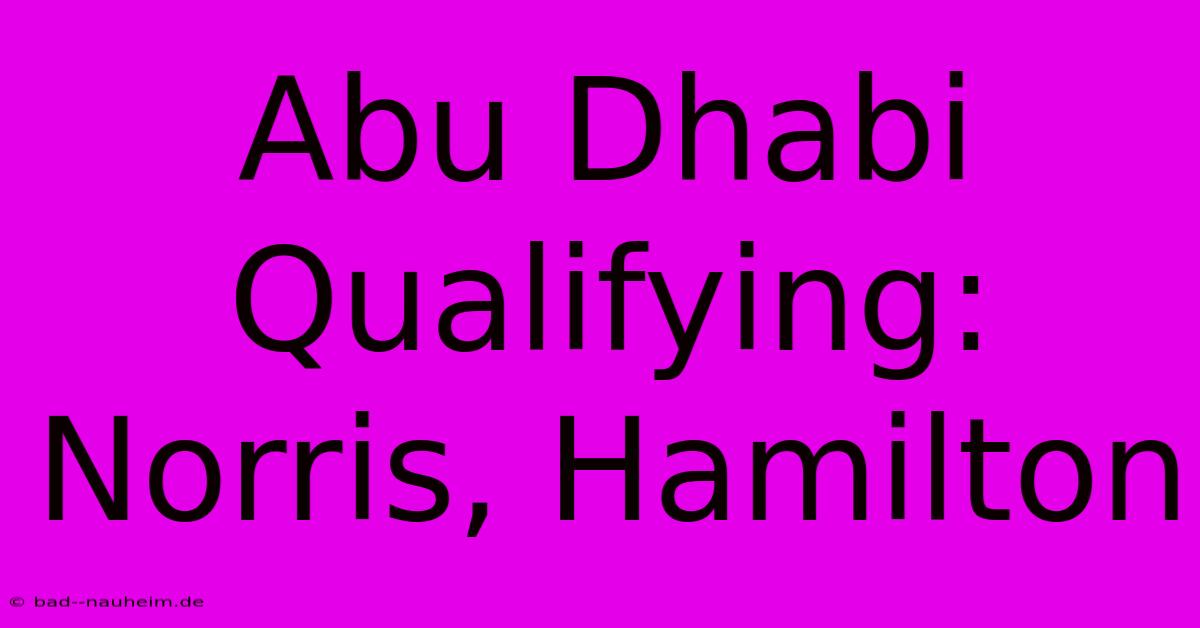 Abu Dhabi Qualifying: Norris, Hamilton