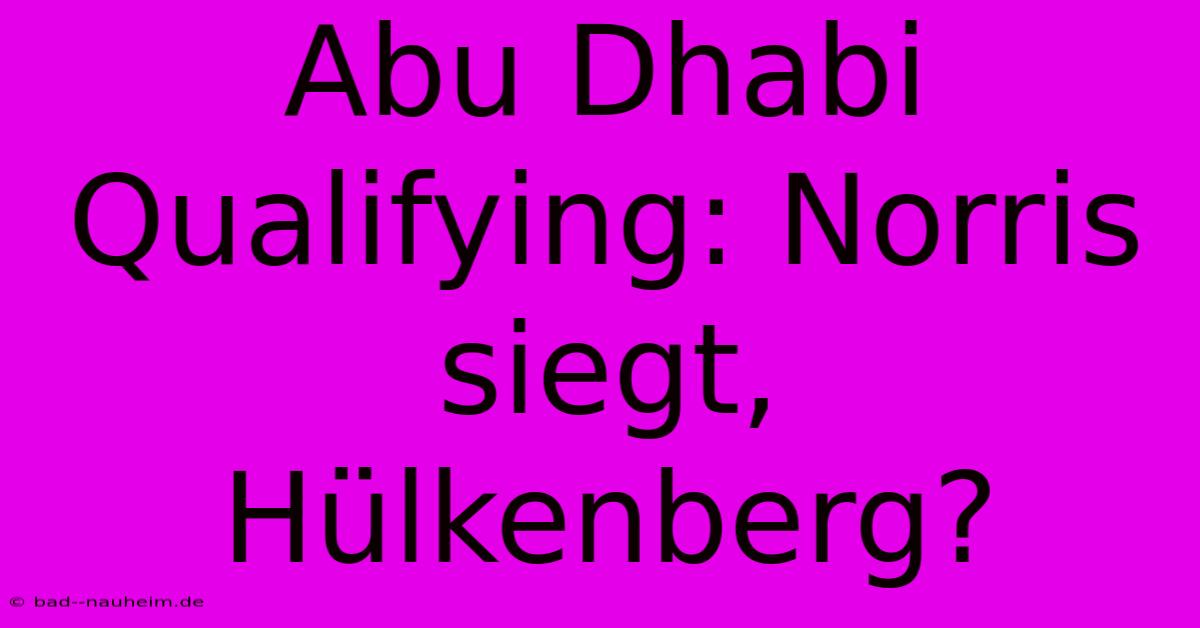 Abu Dhabi Qualifying: Norris Siegt, Hülkenberg?