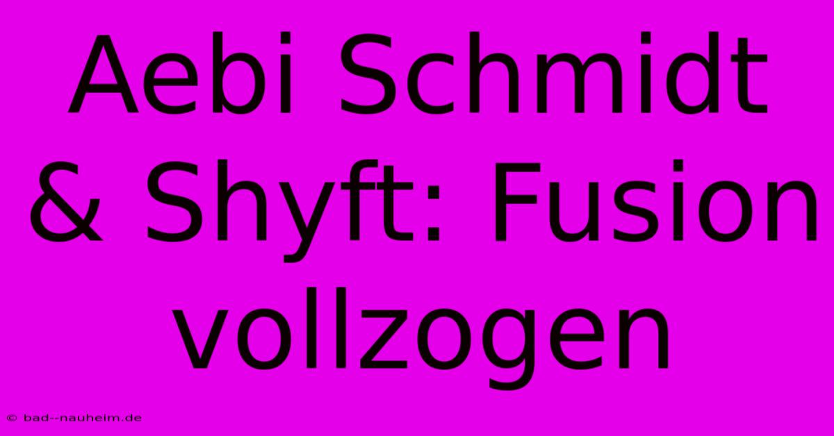 Aebi Schmidt & Shyft: Fusion Vollzogen