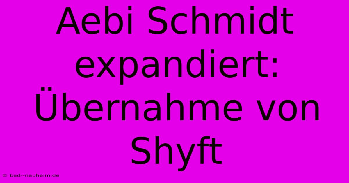 Aebi Schmidt Expandiert: Übernahme Von Shyft