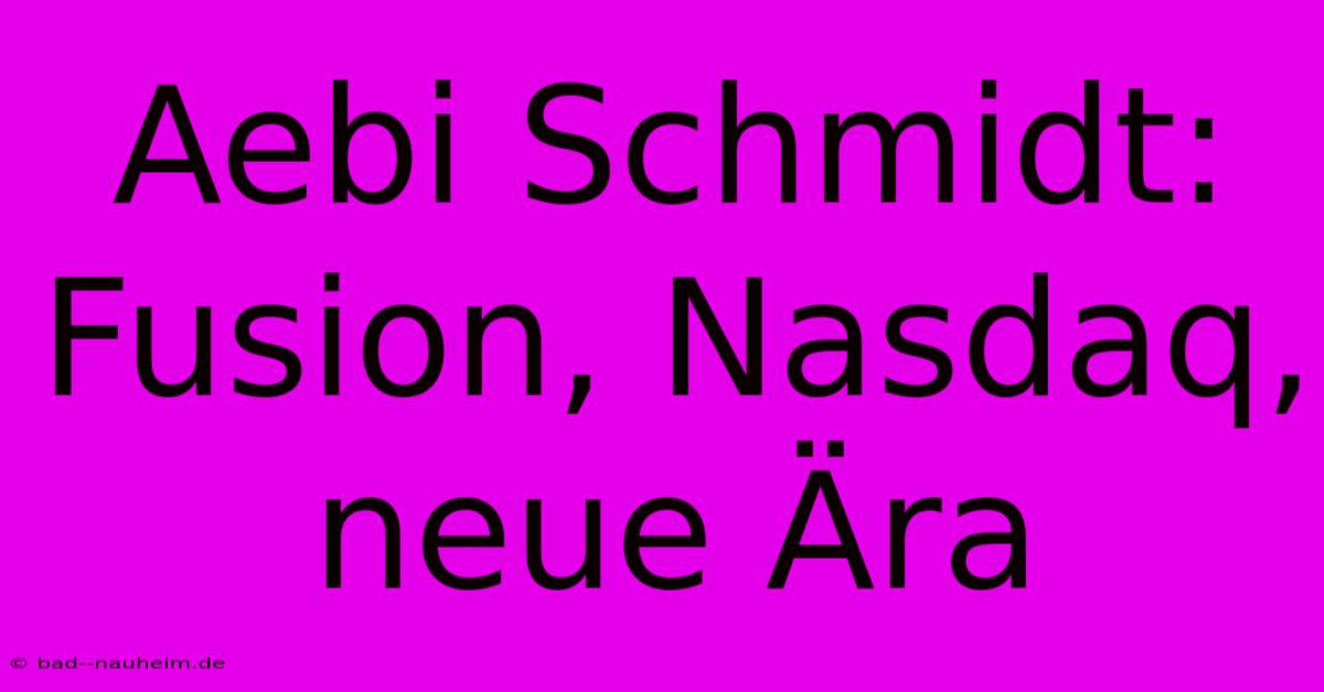 Aebi Schmidt: Fusion, Nasdaq, Neue Ära