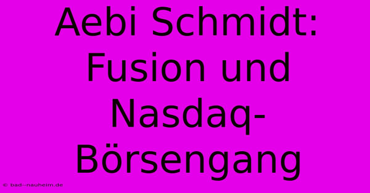 Aebi Schmidt: Fusion Und Nasdaq-Börsengang