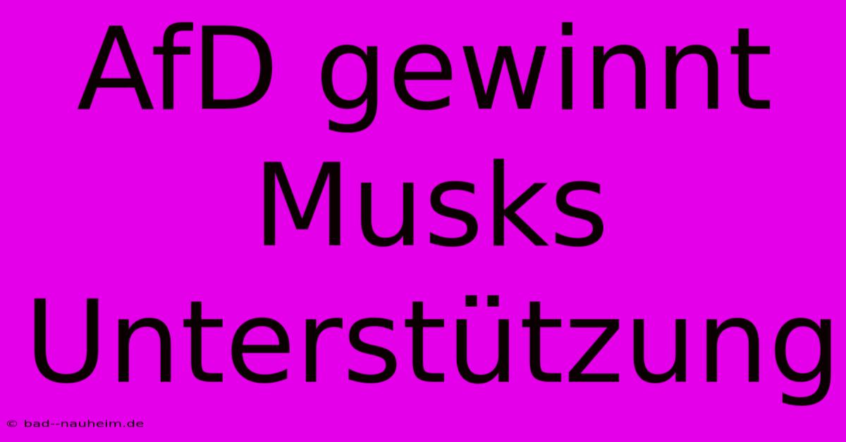 AfD Gewinnt Musks Unterstützung