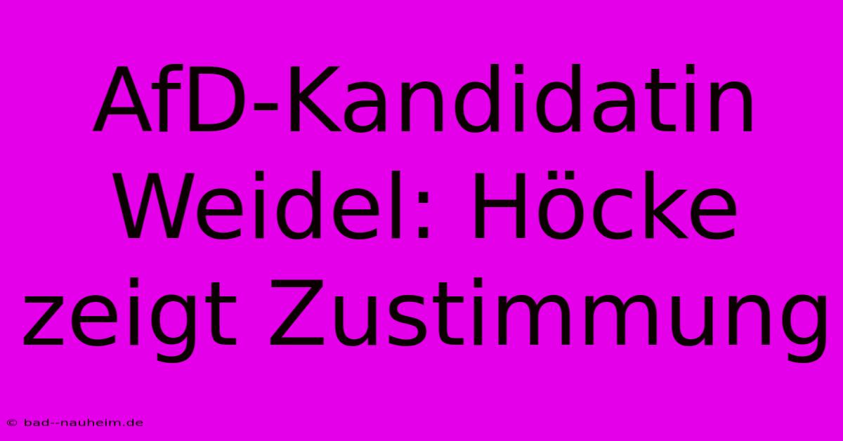 AfD-Kandidatin Weidel: Höcke Zeigt Zustimmung