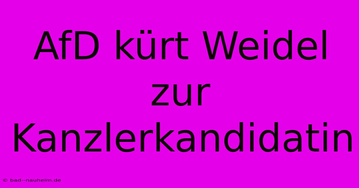 AfD Kürt Weidel Zur Kanzlerkandidatin