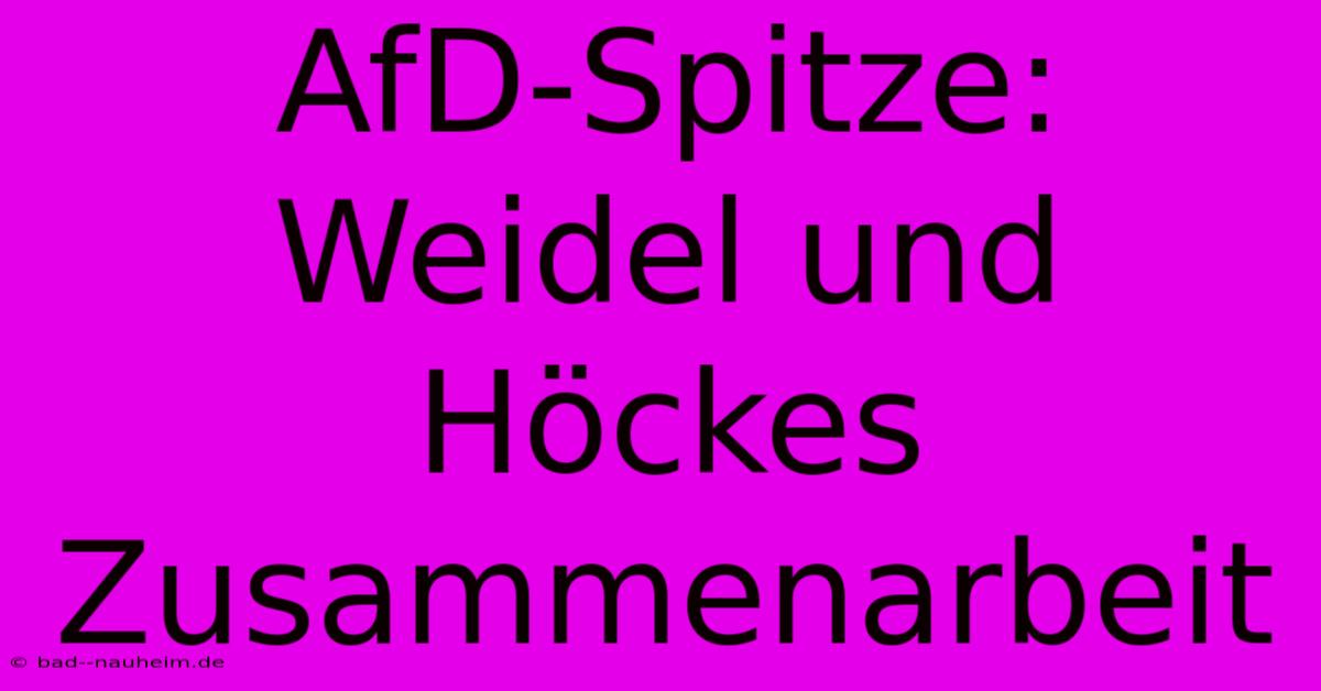 AfD-Spitze: Weidel Und Höckes Zusammenarbeit