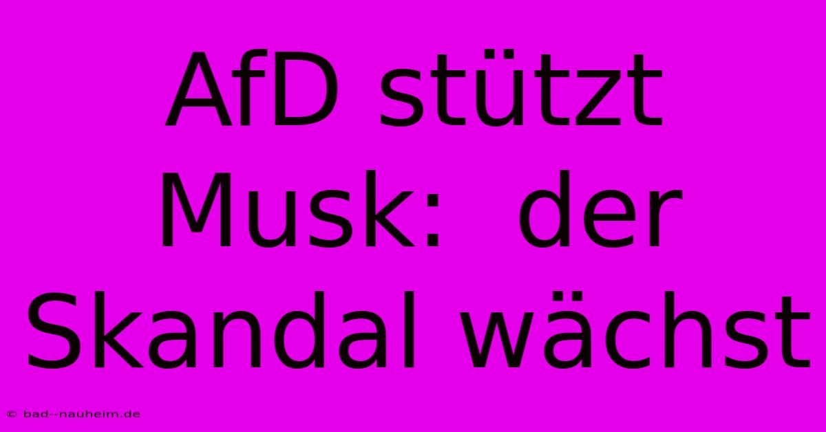 AfD Stützt Musk:  Der Skandal Wächst