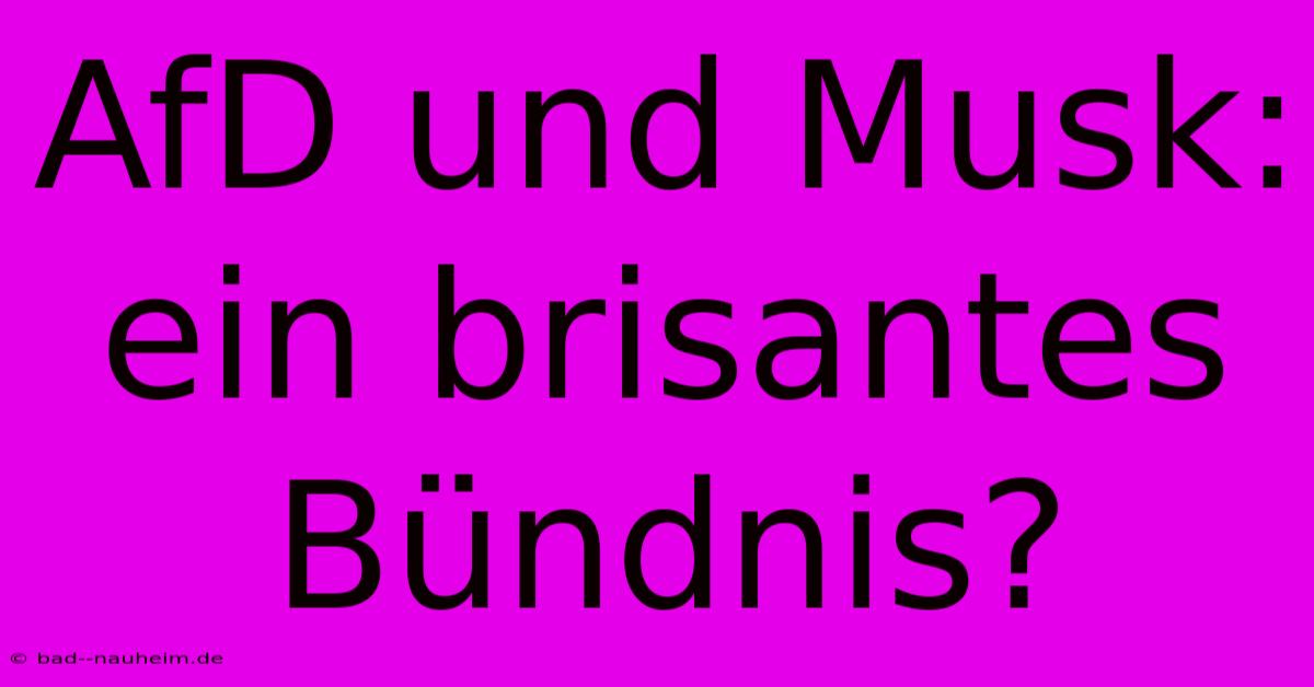 AfD Und Musk:  Ein Brisantes Bündnis?