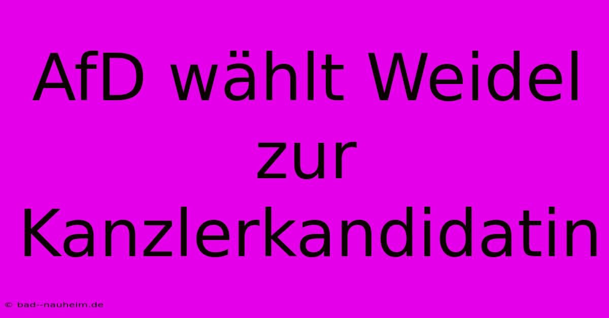 AfD Wählt Weidel Zur Kanzlerkandidatin