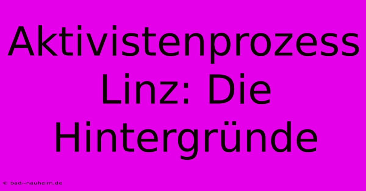 Aktivistenprozess Linz: Die Hintergründe