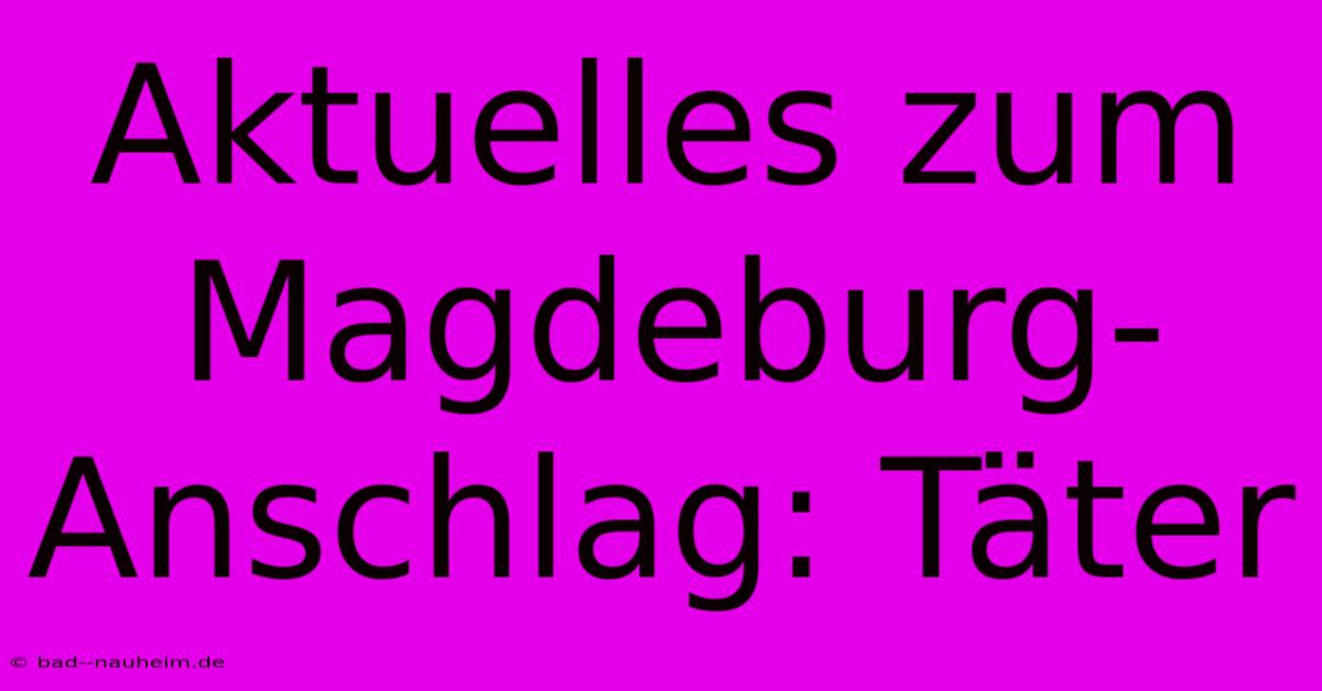 Aktuelles Zum Magdeburg-Anschlag: Täter