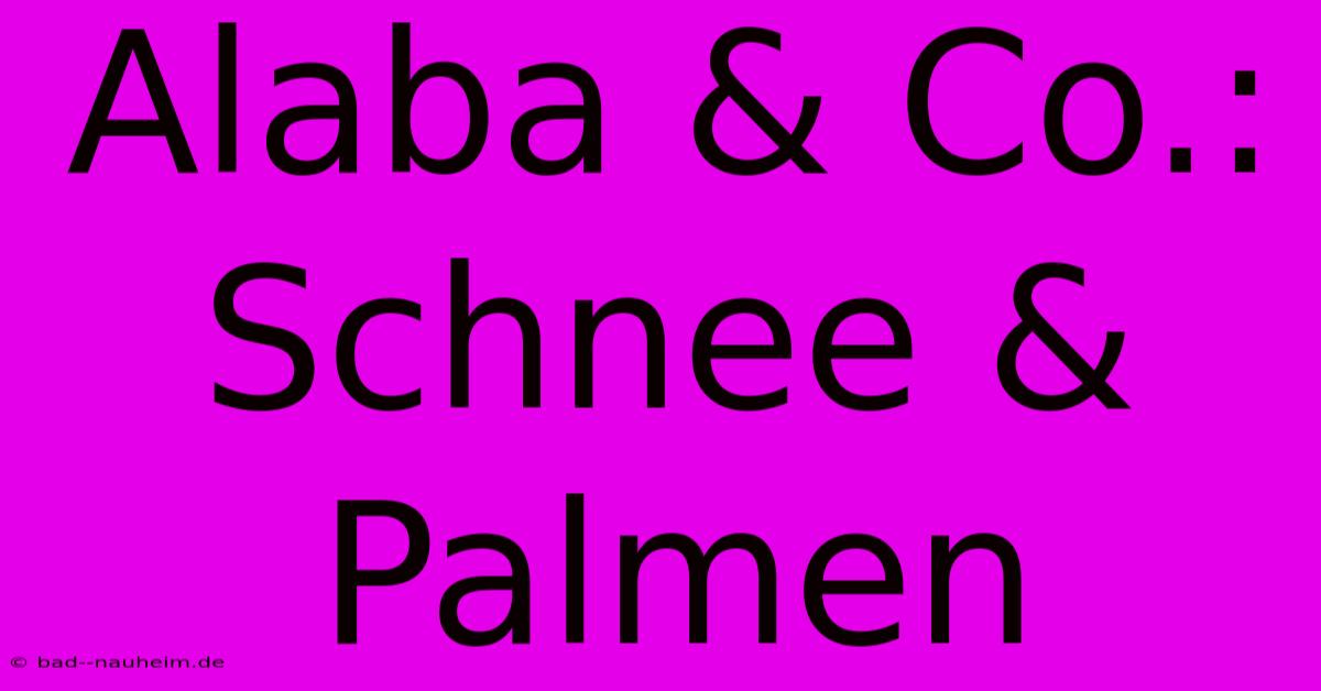 Alaba & Co.: Schnee & Palmen