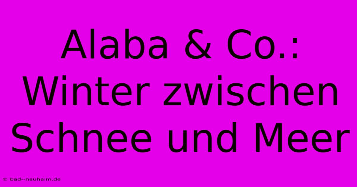 Alaba & Co.: Winter Zwischen Schnee Und Meer