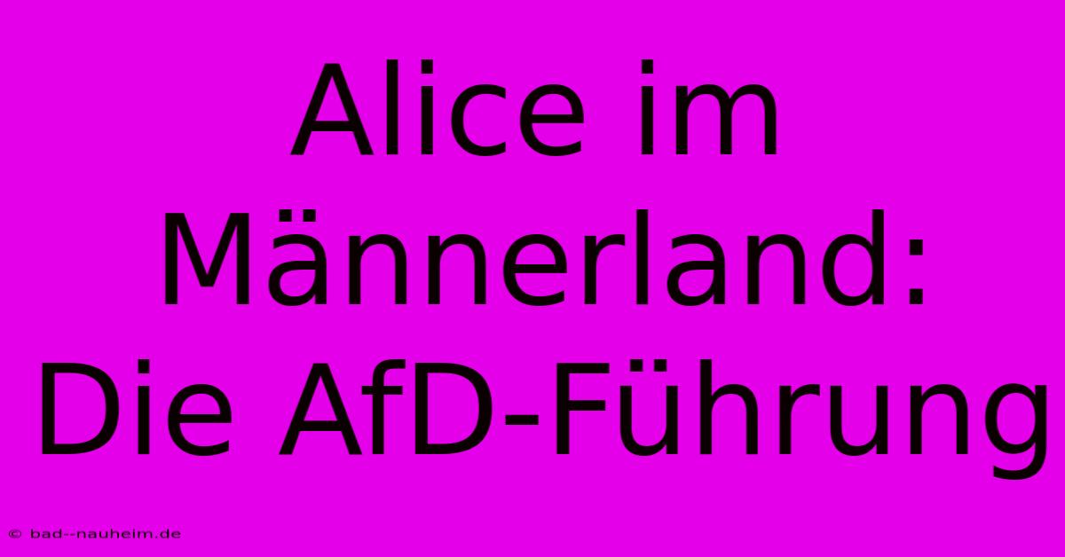 Alice Im Männerland: Die AfD-Führung