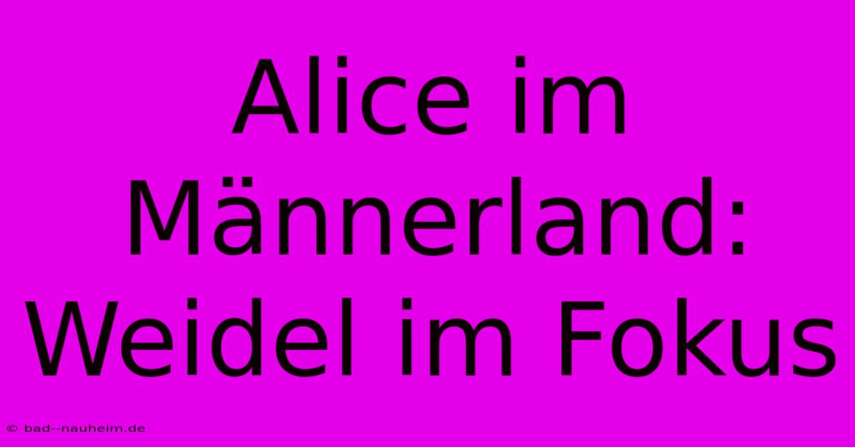 Alice Im Männerland: Weidel Im Fokus