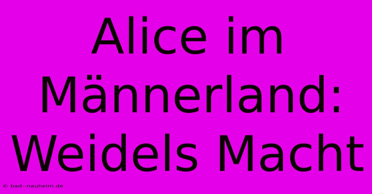 Alice Im Männerland:  Weidels Macht