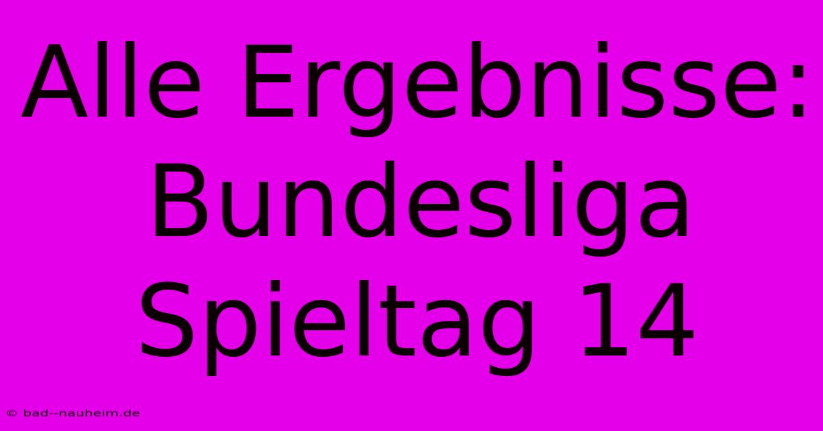 Alle Ergebnisse: Bundesliga Spieltag 14