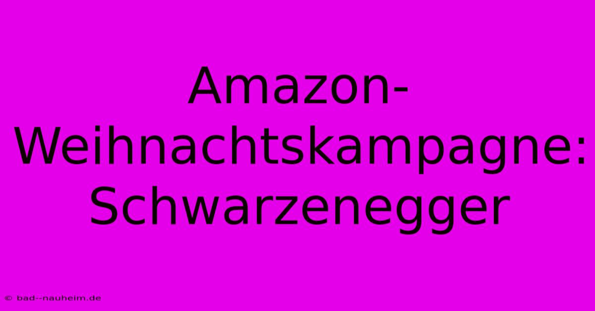 Amazon-Weihnachtskampagne: Schwarzenegger