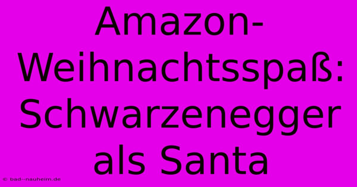 Amazon-Weihnachtsspaß: Schwarzenegger Als Santa